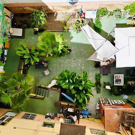 Хостел Jungle House Лас-Пальмас-де-Гран-Канария Экстерьер фото