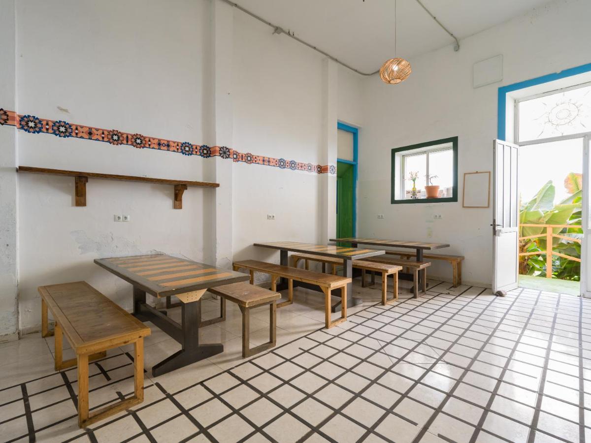 Хостел Jungle House Лас-Пальмас-де-Гран-Канария Экстерьер фото