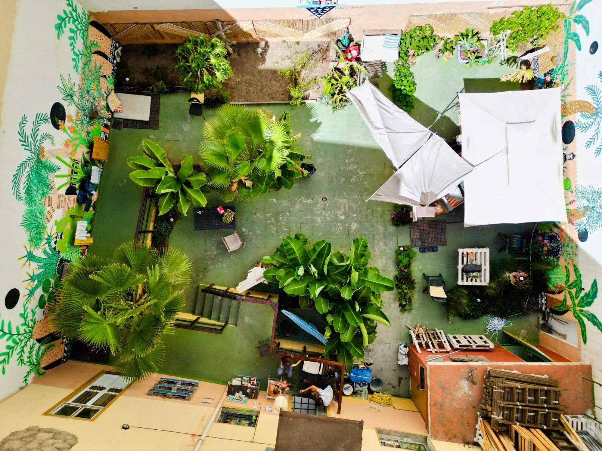 Хостел Jungle House Лас-Пальмас-де-Гран-Канария Экстерьер фото